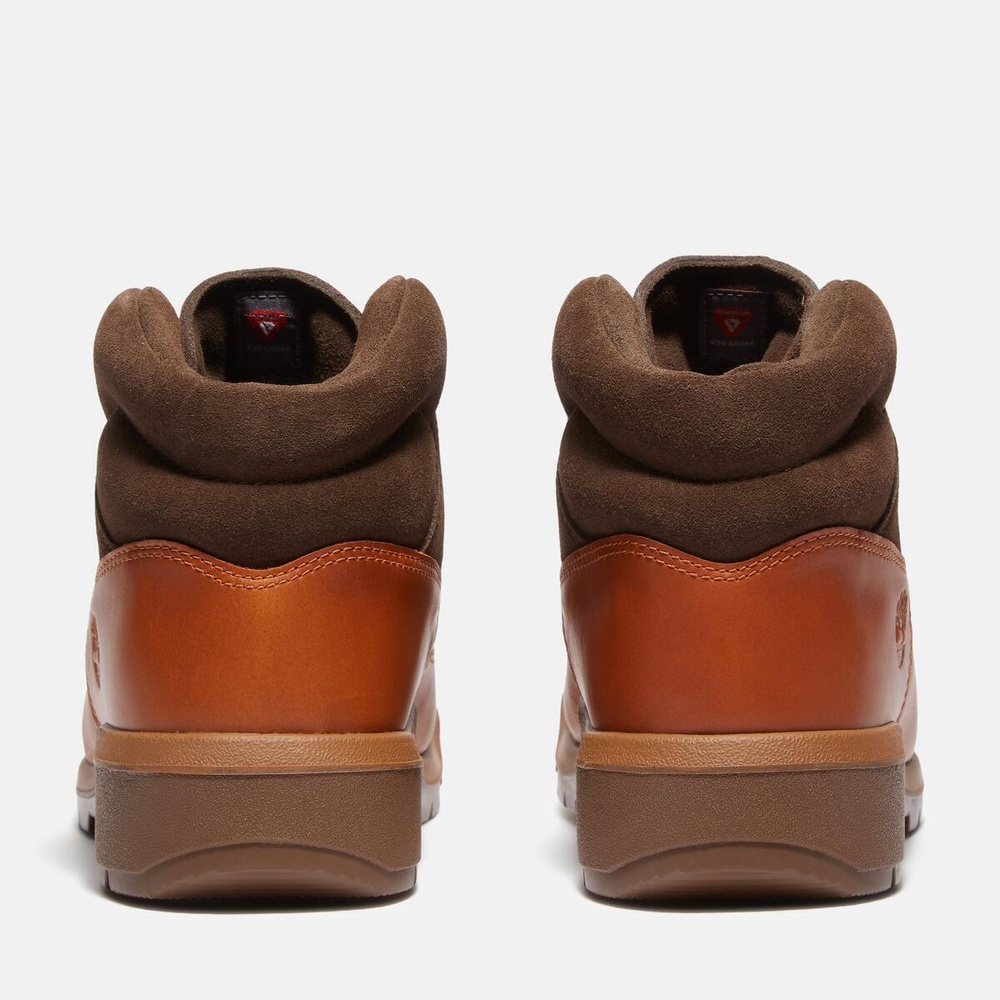 ティンバーランド　フィールドブーツ フィールド ブーツ GTX メンズ（防水） ｜【Timberland公式通販