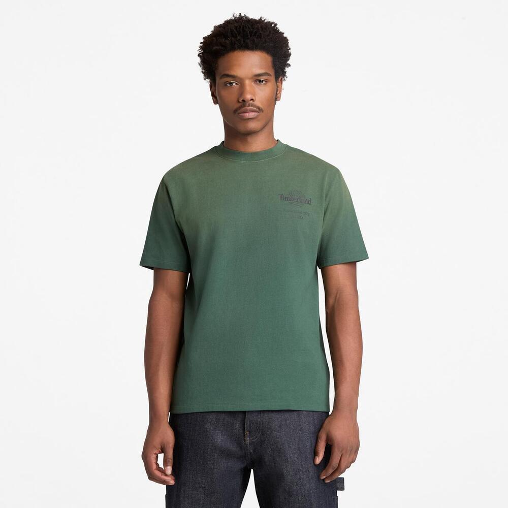 バック ツリーロゴ グラフィック 半袖 Tシャツ メンズ ｜【Timberland
