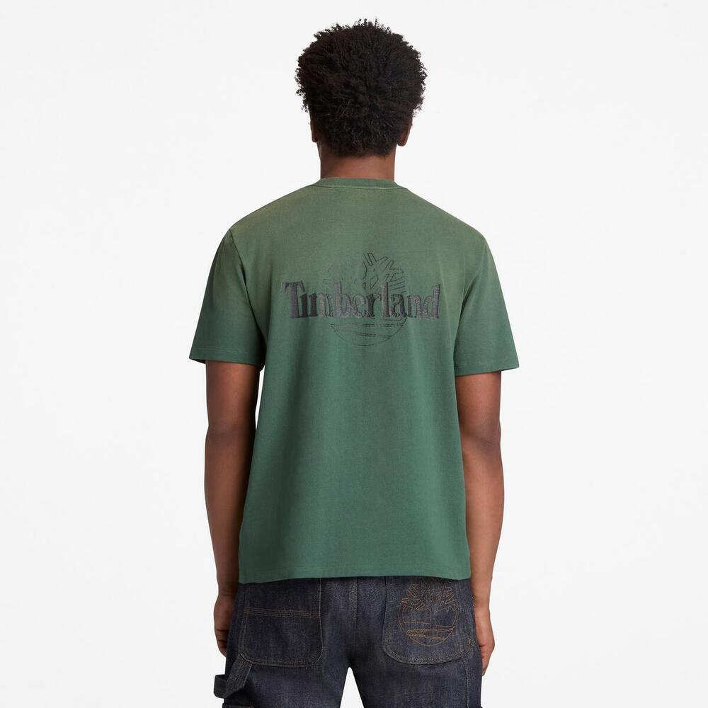 バック ツリーロゴ グラフィック 半袖 Tシャツ メンズ ｜【Timberland