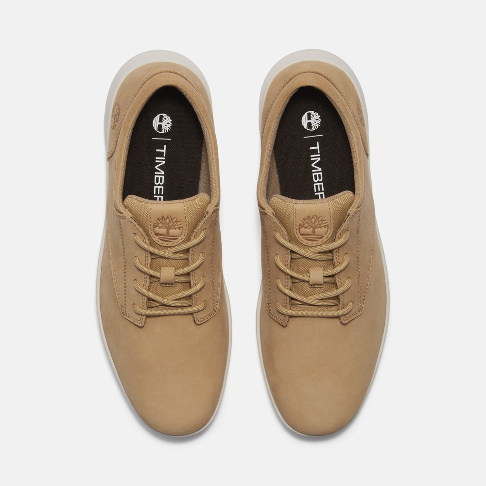 パーカー ストリート ロー スニーカー メンズ ｜【Timberland公式通販