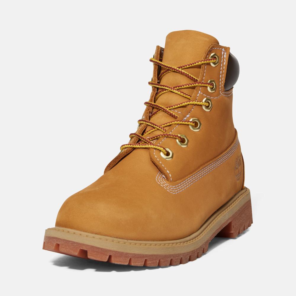 ティンバーランド Timberland6インチブーツ プレミアム　10W 定番】6インチ プレミアム ウォータープルーフ ブーツ メンズ