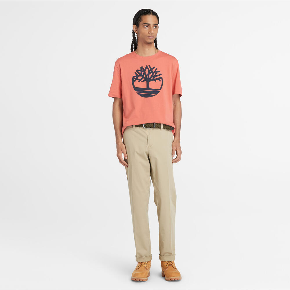 ストレッチ チノ パンツ メンズ image number 1