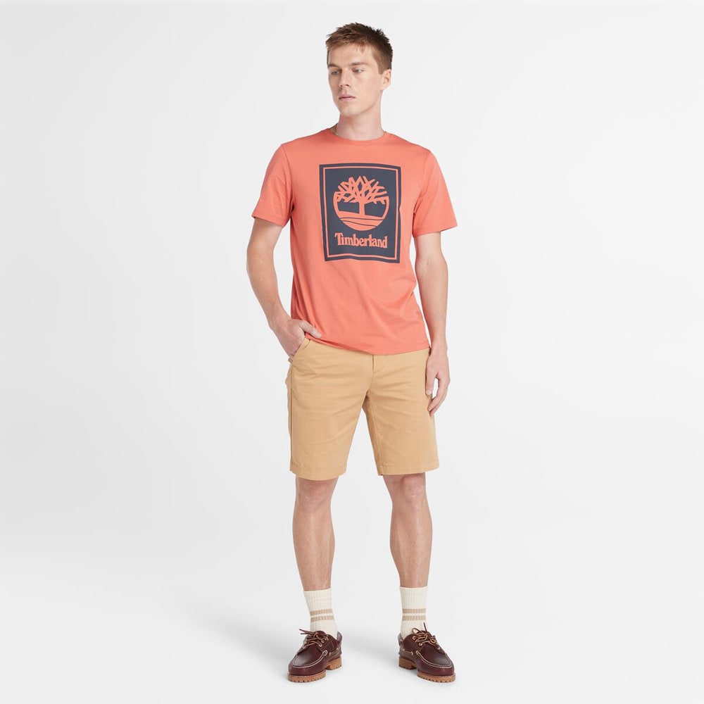 ツイル チノ ショーツ メンズ image number 1