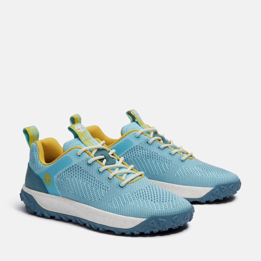 ブルーグリーン カワサキ Ninja ZX－6R 2007年モデル WirusWin