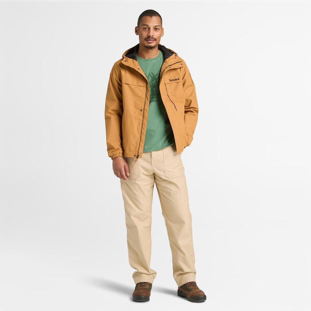 ガーメント ダイ ロゴ グラフィック 半袖 Tシャツ メンズ image number 2