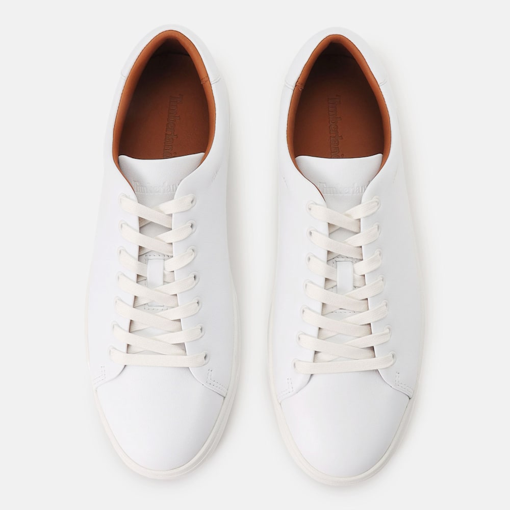 【WEB限定】 ドーバー パーク ロー スニーカー メンズ image number 1