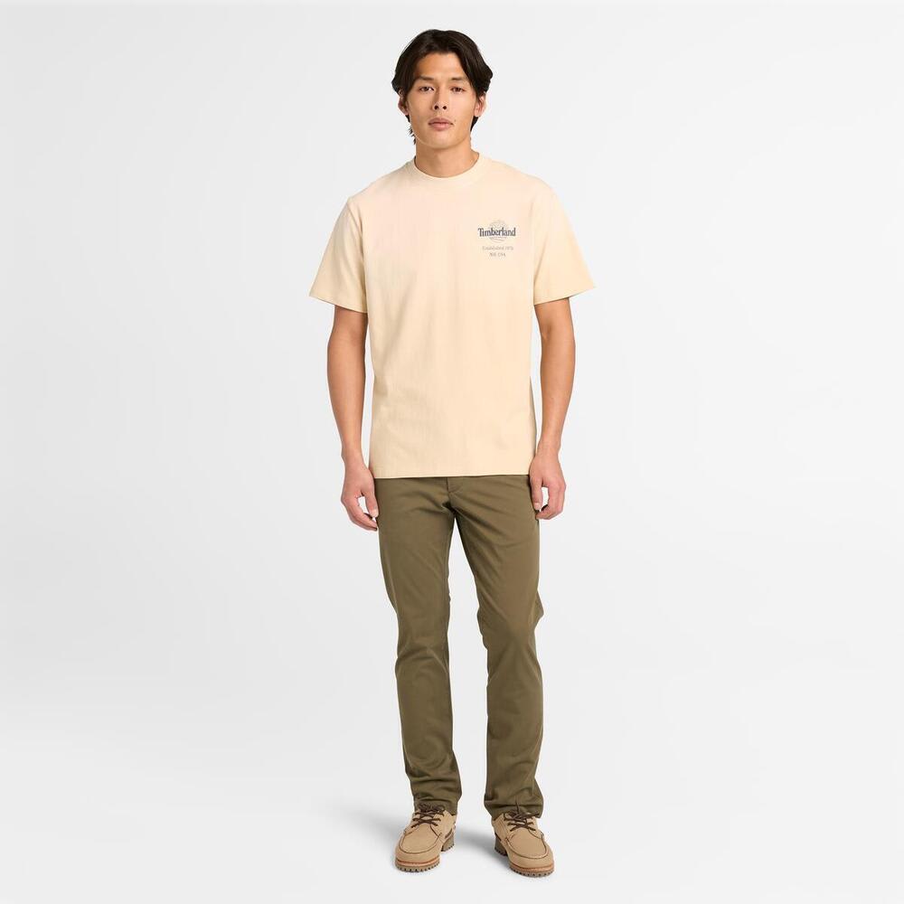 バック ツリーロゴ グラフィック 半袖 Tシャツ メンズ image number 2