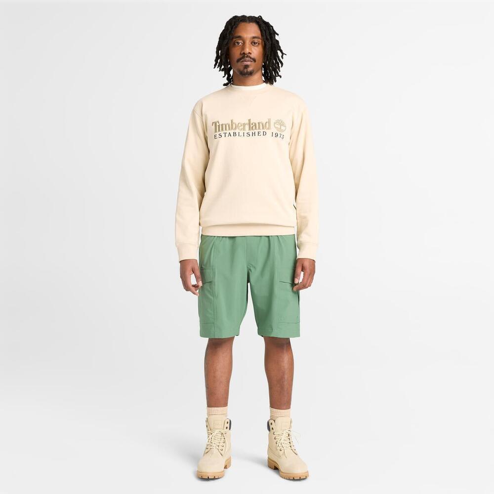 エスタブリッシュド 1973 クルーネック スウェットシャツ メンズ image number 2