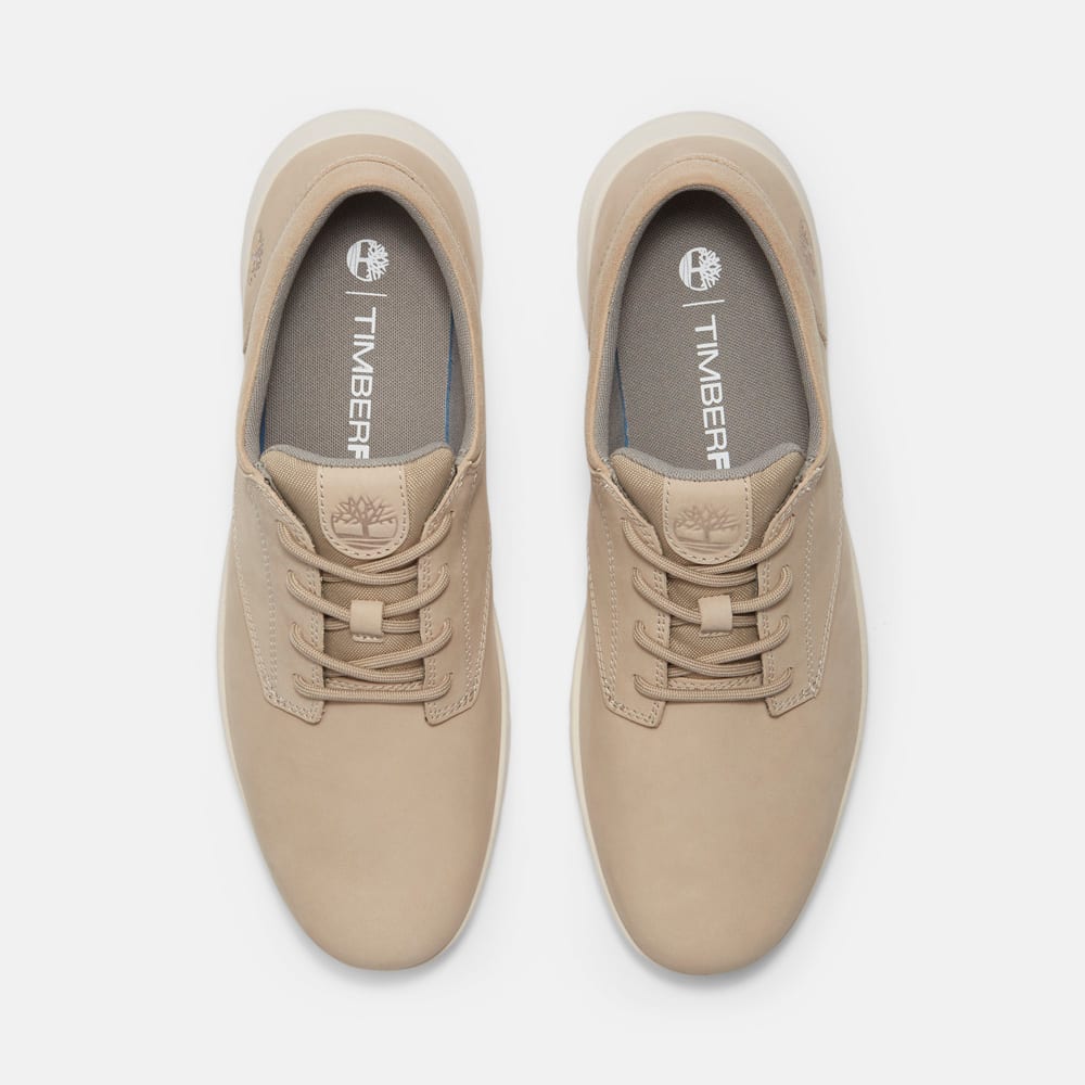 パーカー ストリート ロー スニーカー メンズ ｜【Timberland