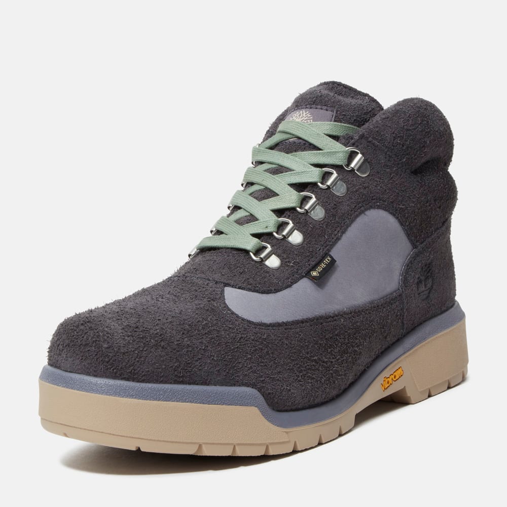 フィールド ブーツ GTX メンズ