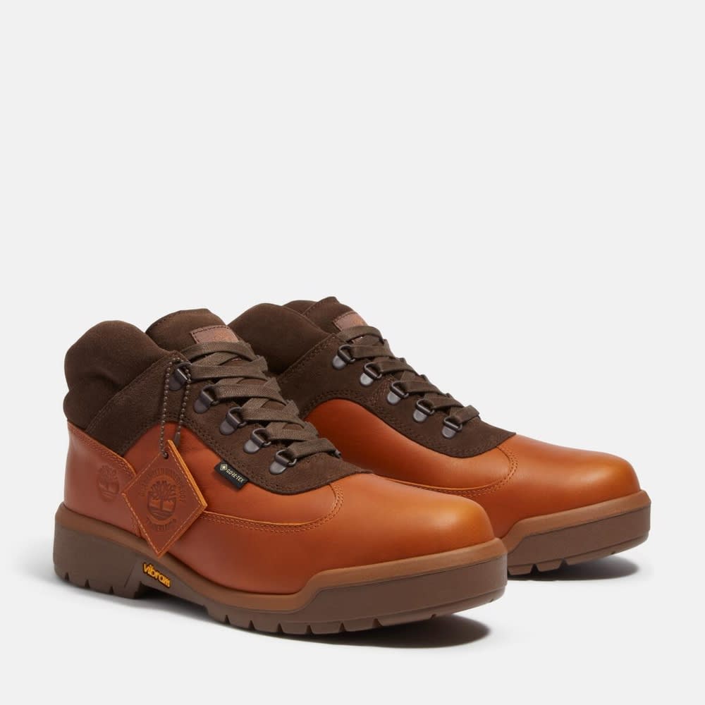 フィールド ブーツ GTX メンズ