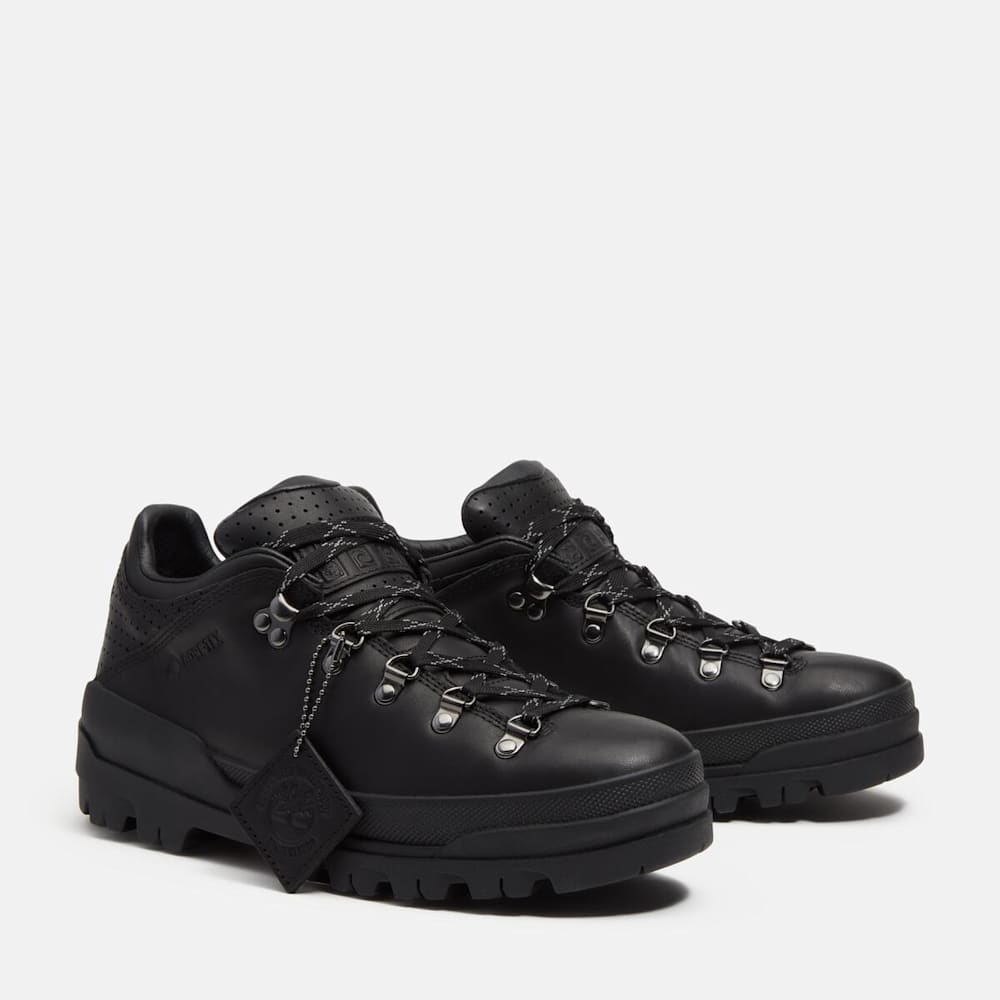 【6月発売予定】ワールド ハイカー GTX ハイキング ブーツ メンズ&nbsp;