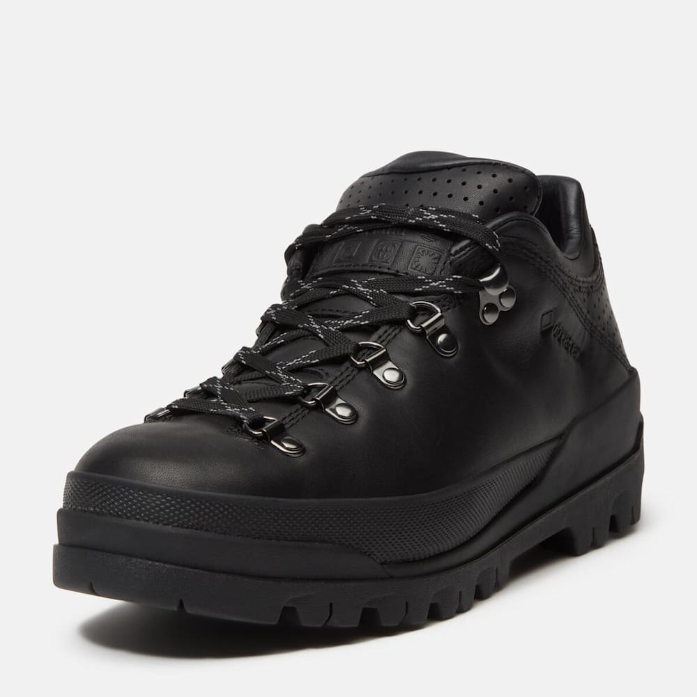 【6月発売予定】ワールド ハイカー GTX ハイキング ブーツ メンズ&nbsp;