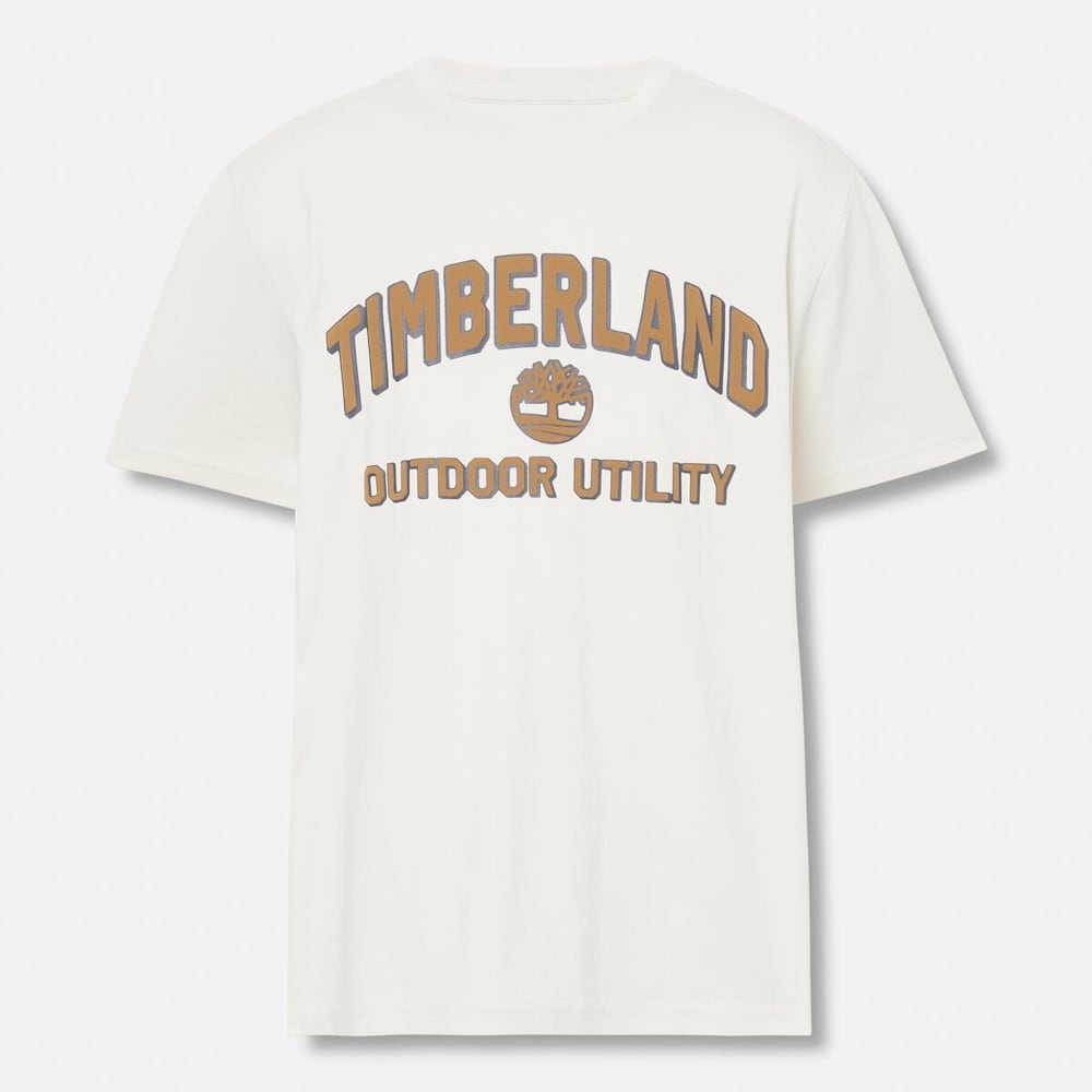半袖 ロゴ グラフィック Tシャツ メンズ
