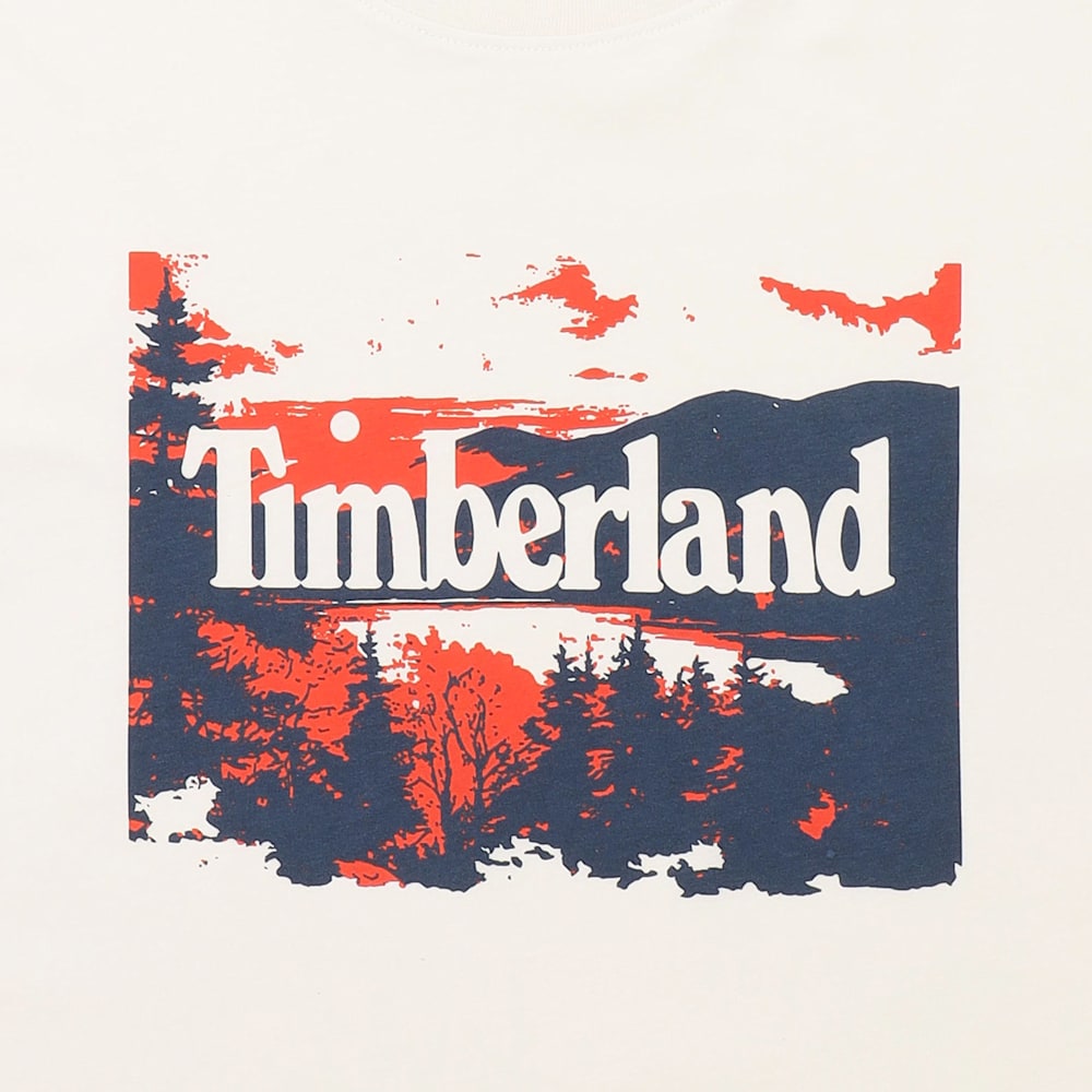 ランドスケープ グラフィック 半袖 Tシャツ メンズ