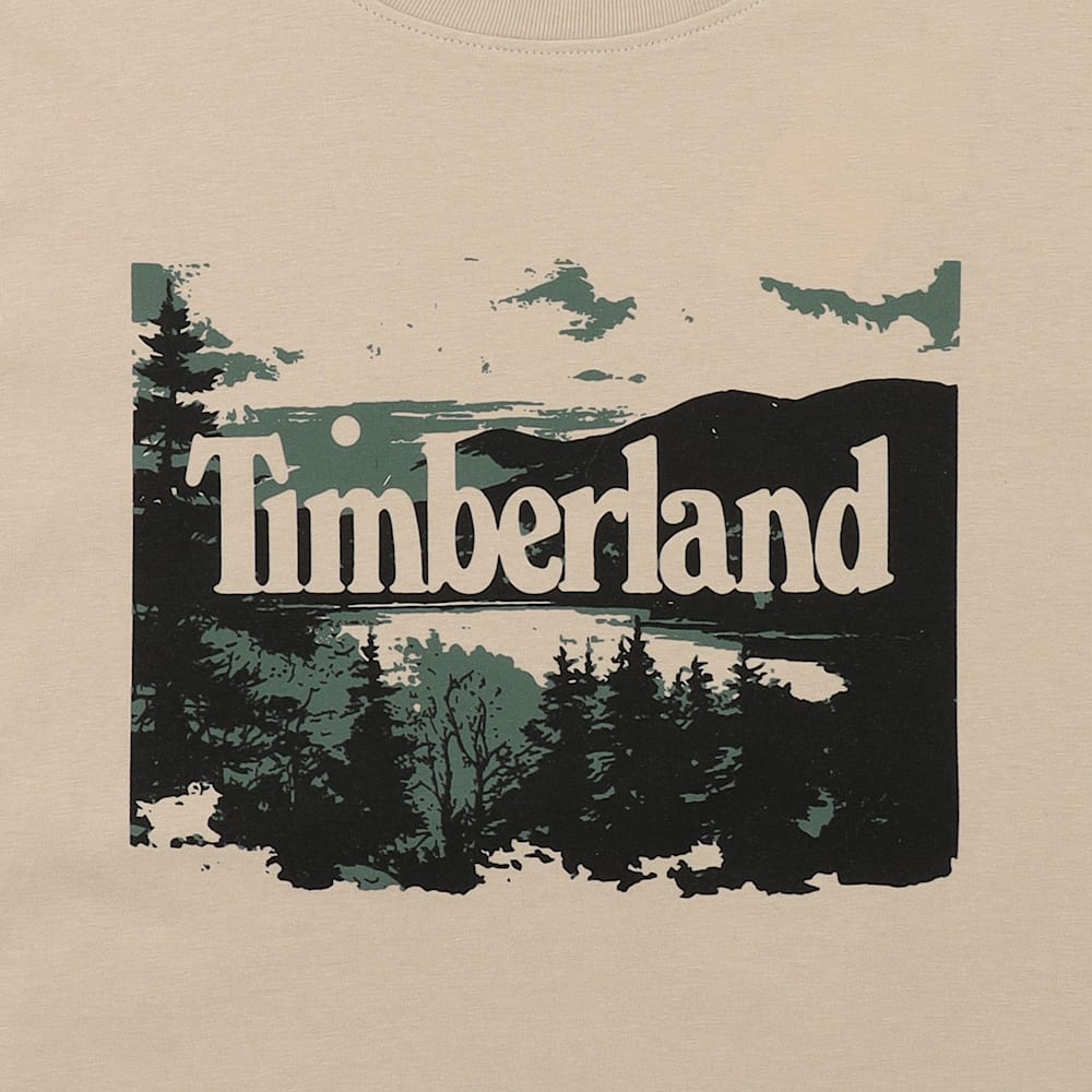 ランドスケープ グラフィック 半袖 Tシャツ メンズ