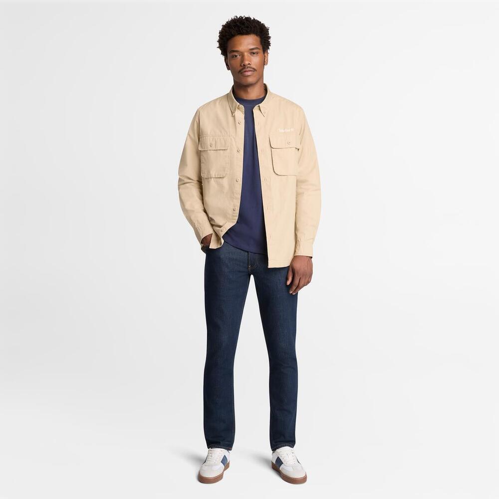 バック ツリーロゴ グラフィック 半袖 Tシャツ メンズ