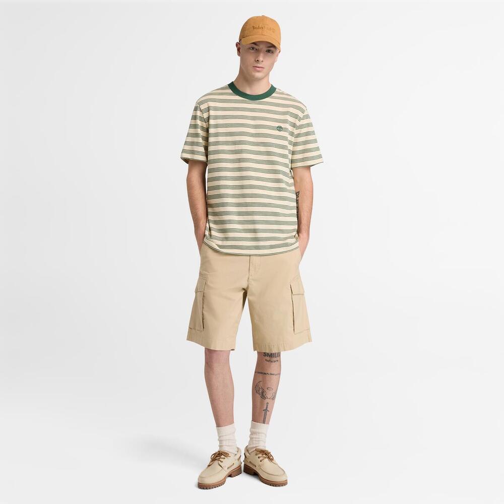 ストライプ 半袖 Tシャツ メンズ