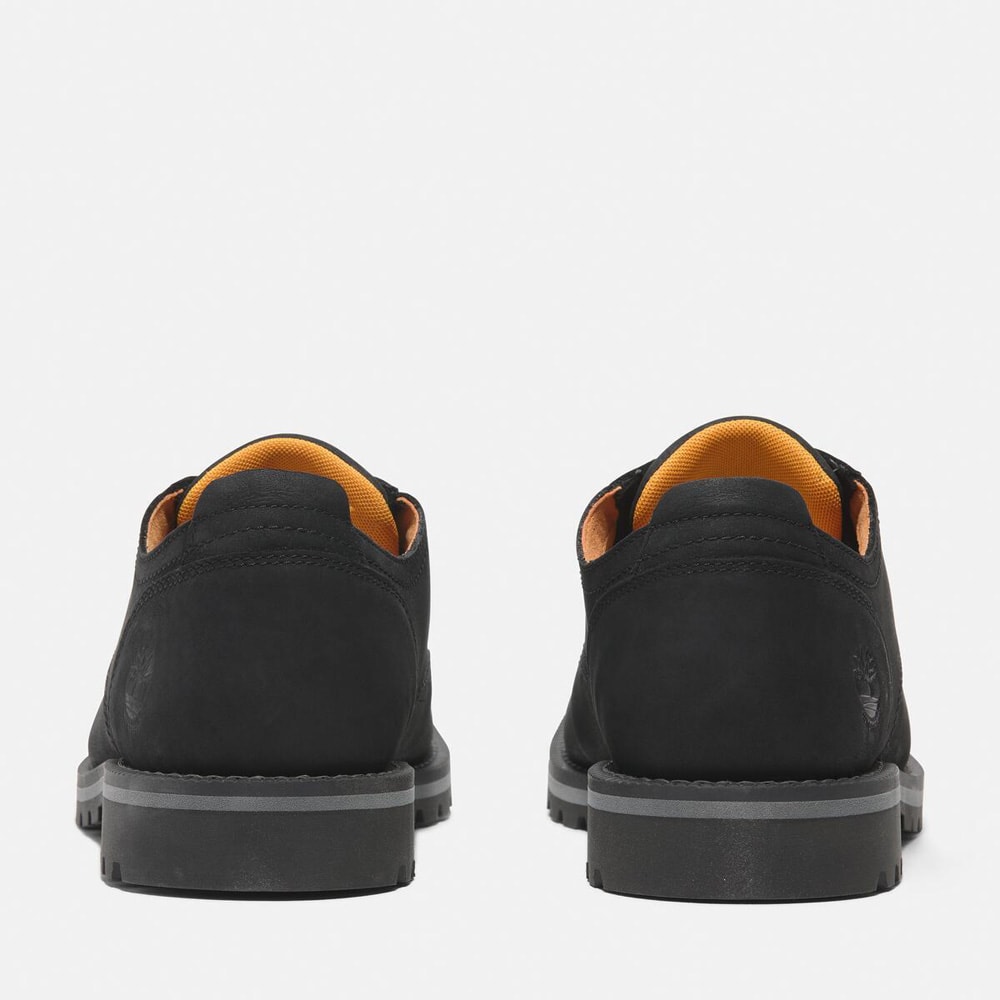 レッドウッド フォールズ ウォータープルーフ シューズ メンズ