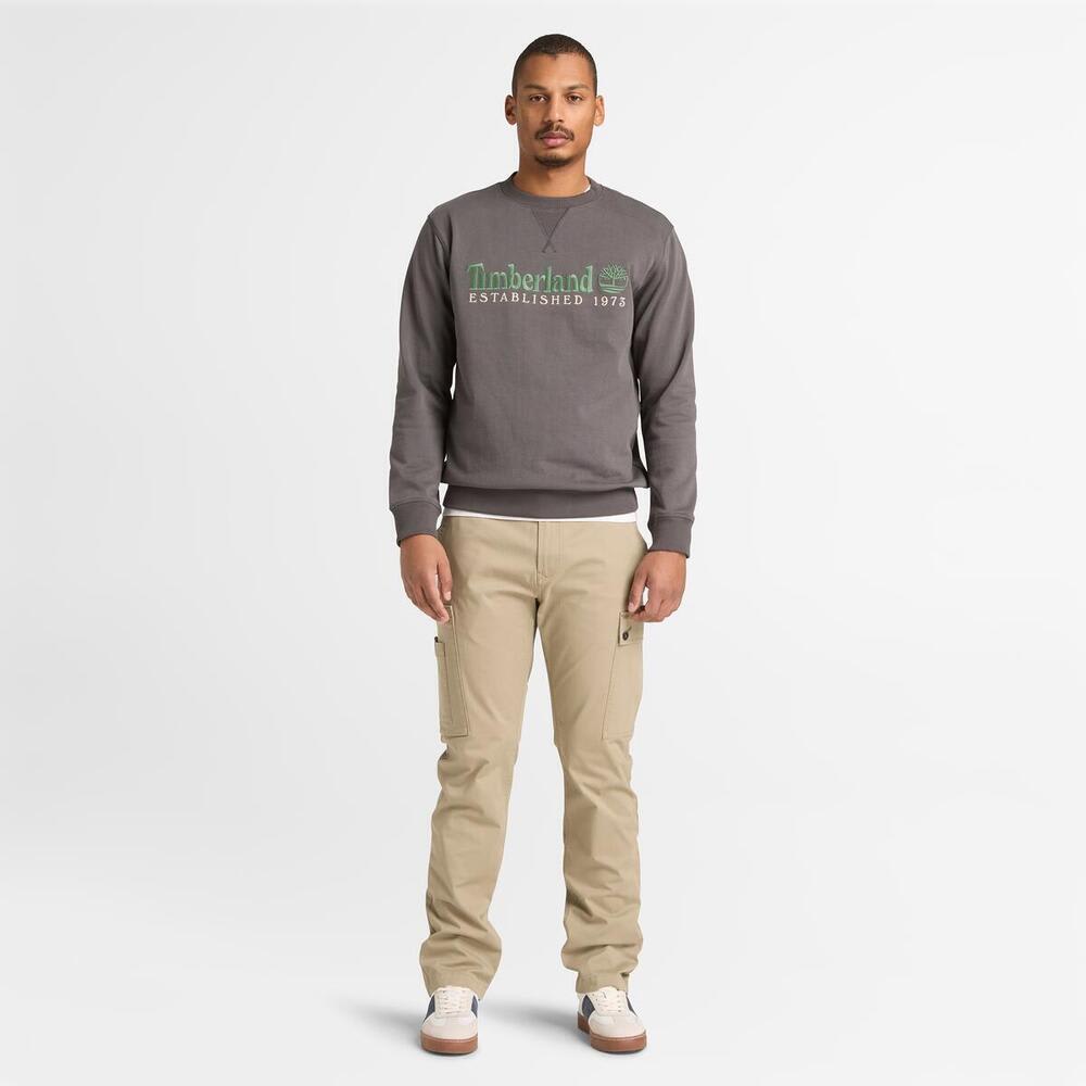 エスタブリッシュド 1973 クルーネック スウェットシャツ メンズ