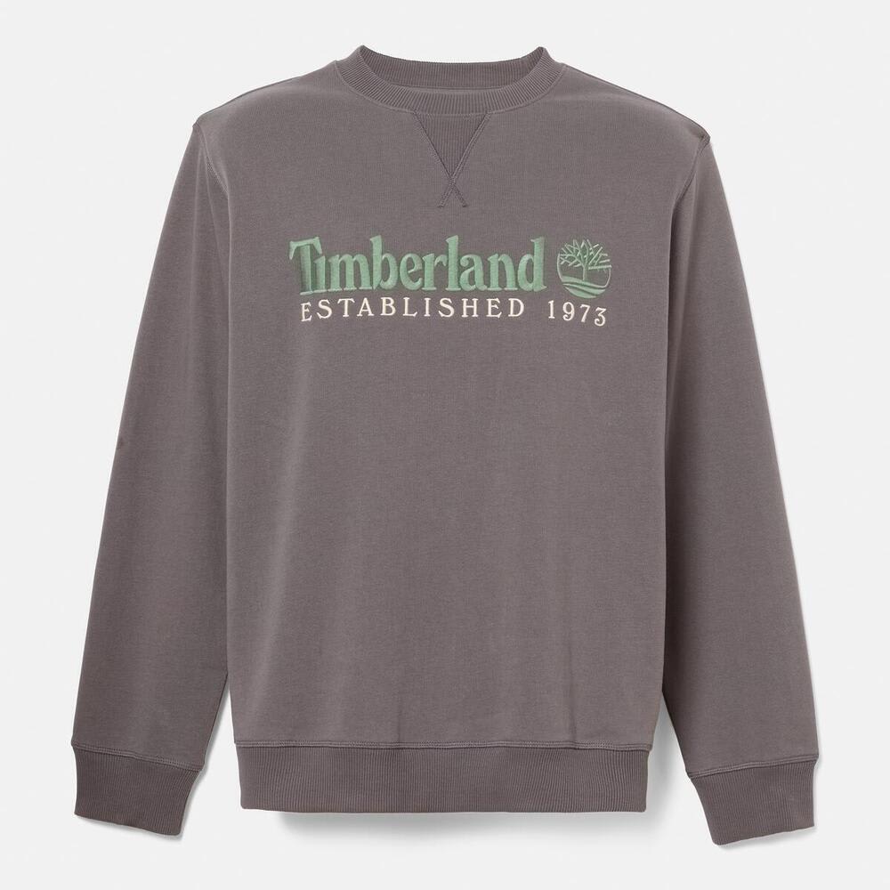 エスタブリッシュド 1973 クルーネック スウェットシャツ メンズ