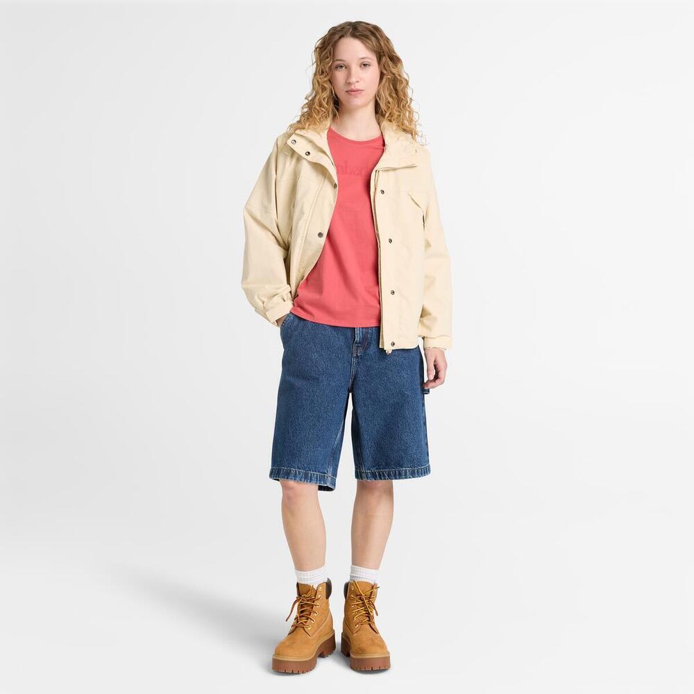 【WEB限定】 半袖 Tシャツ レディース