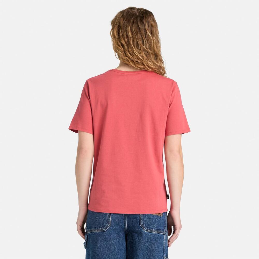 【WEB限定】 半袖 Tシャツ レディース