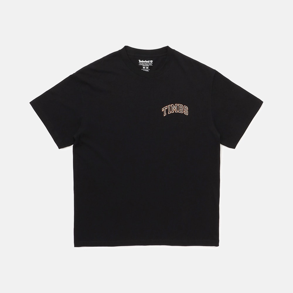 半袖 チェスト グラフィック Tシャツ メンズ